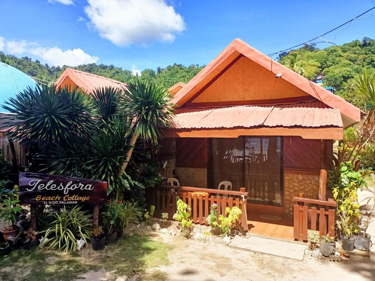 Telesfora Beach Cottage El Nido Luaran gambar